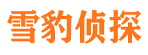 蔚县外遇调查取证